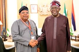 President Bola Tinubu Nominates Joseph Olasunkanmi Tegbe as New Minister of Power